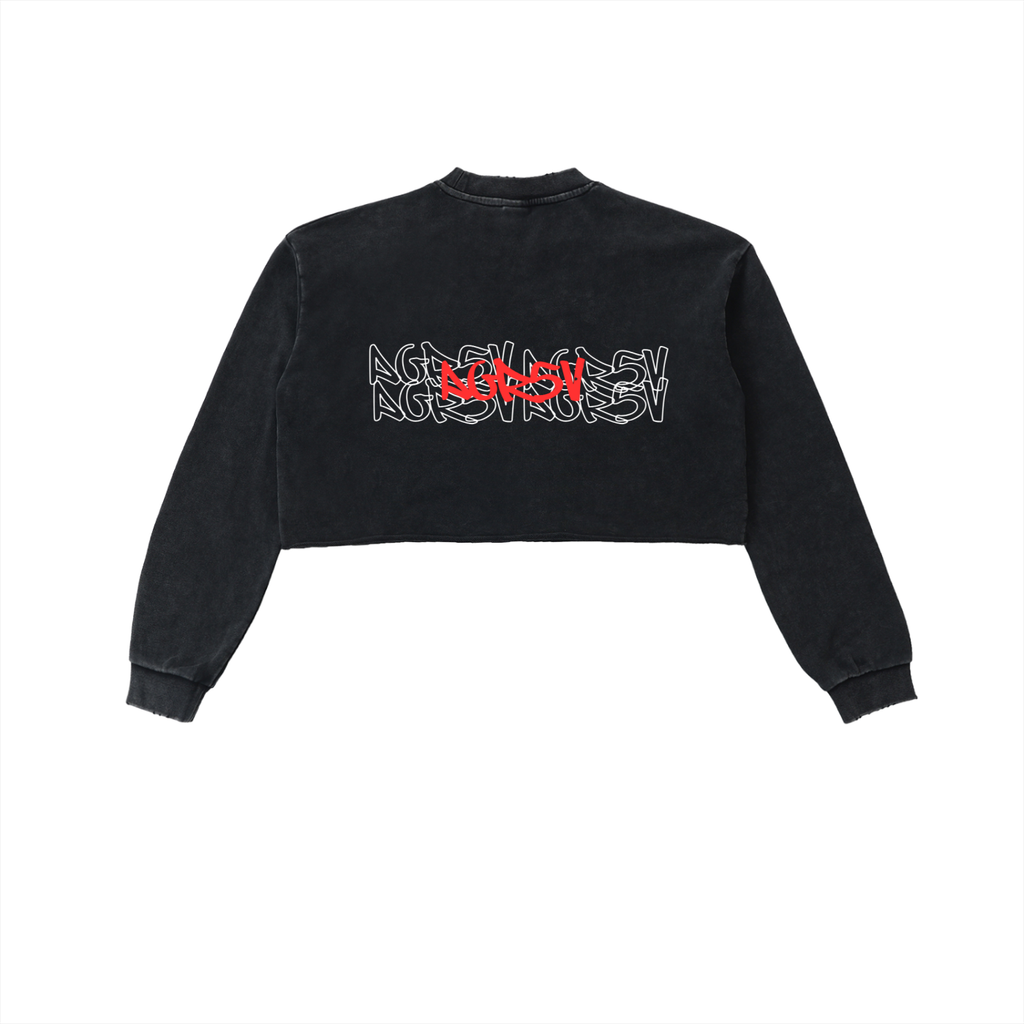 Snow Washed Raw Edge Cropped Sweatshirt