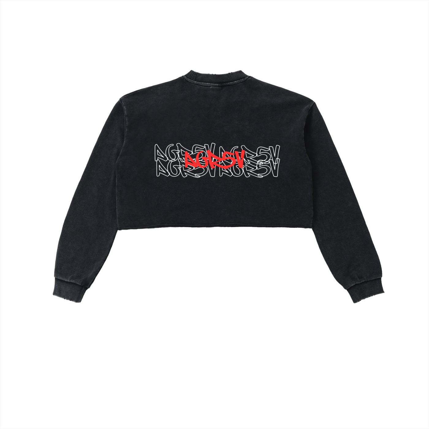 Snow Washed Raw Edge Cropped Sweatshirt